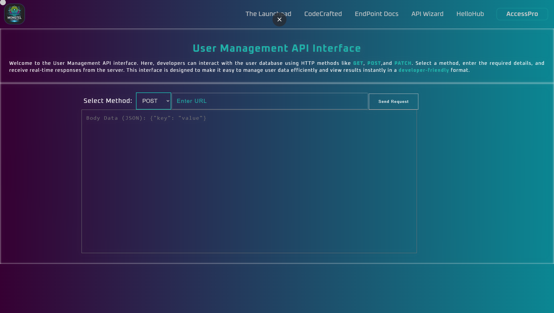 API Check Tool